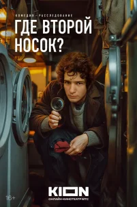Где второй носок? (2024)