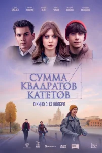 Сумма квадратов катетов (2024)