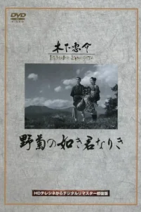 Ты была подобна дикой хризантеме (1955)