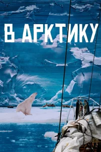 В Арктику (2023)